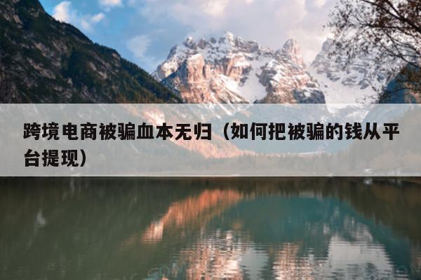 跨境电商被骗 23 万怎么办？四招教你应对